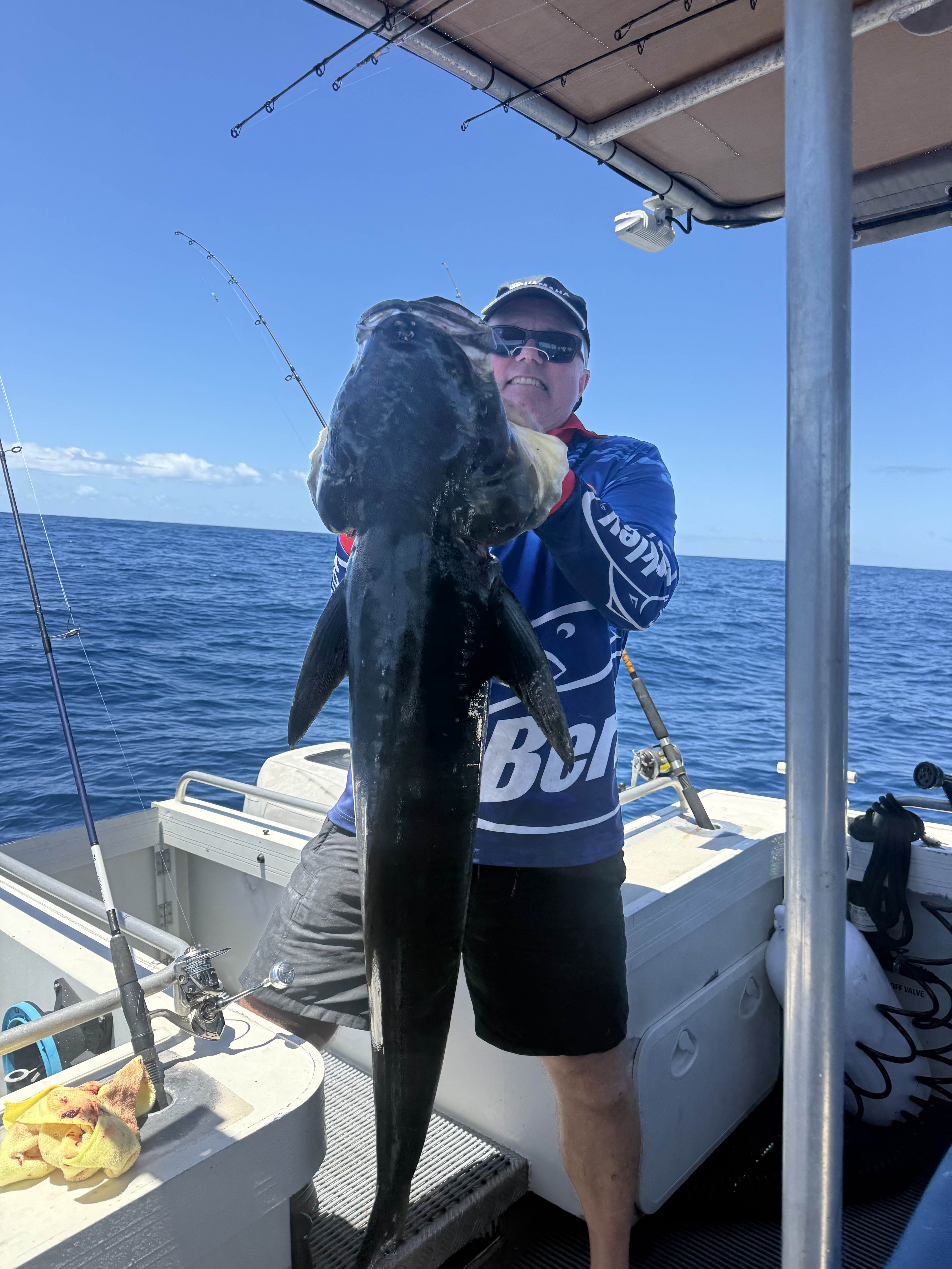 Cobia